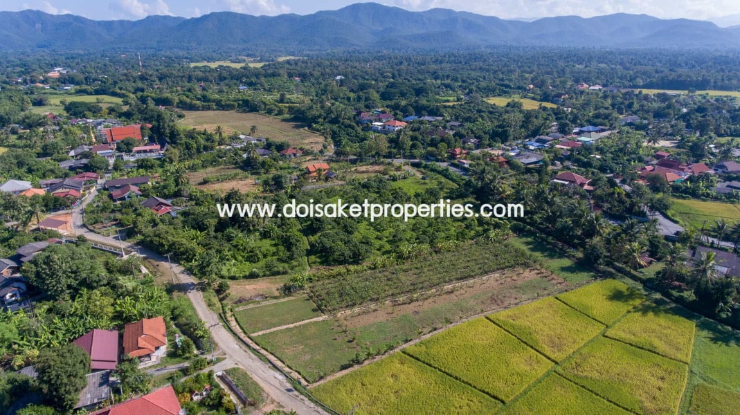 Doi Saket-DSP-(LS328-05) Nice Plot of Land Full of Longan Trees for Sale in Luang Nuea