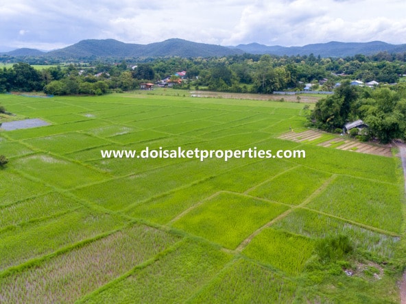 Doi Saket-DSP-(LS372-08) 8+ Rai of Land with Jaw-Dropping Views for Sale in Mae Pong