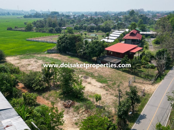 Doi Saket-DSP-(LS380-01) 1-Rai of Prime Land for Sale in Luang Nuea