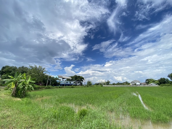 14-3-82 Rai of land for sale near San Kamphaeng-SHG-LS102